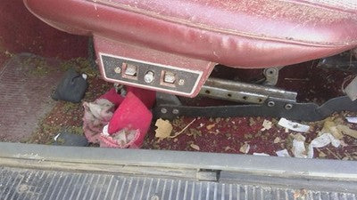 1985 Jeep Cherokee Driver Left Power Seat Track With Motors Only Oem