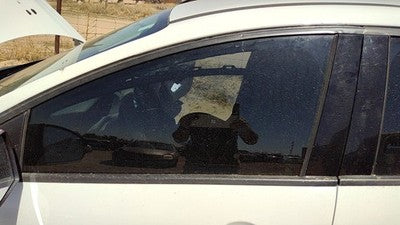2012-2014 Ford Focus Ford Focus Driver Left Front Side Window Door Glass Oem