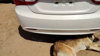 2011-13 Hyundai Sonata Rear Bumper Cover Assembly Back Shimmering White Mica Wj
