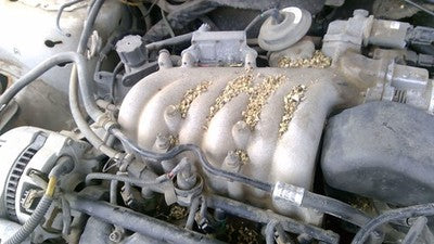 1998-1999 Ford Taurus Upper Intake Manifold Oem 3.0L Ohv F8dz9424aa