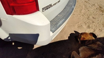 2008-2010 Dodge Grand Caravan Rear Bumper Cover Assembly Oem Back White Pw1