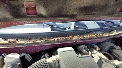 2002 Chevy Trail Blazer Windshield Wiper Cowl Vent Trim Panel Oem Cover