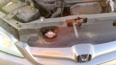 2004 2005 Honda Civic Top Plastic Cover Above Radiator Support Oem Upper Shield