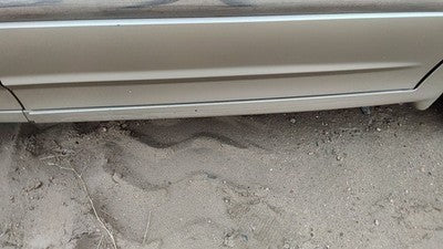 2000 Ford Windstar Passenger Right Moulding From Fender Oem Trim Strip