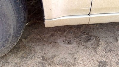 2010 Chrysler 300 Driver Left Moulding From Fender Oem Trim Strip White Pwg