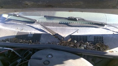1994 Jeep Grand Cherokee Windshield Wiper Cowl Vent Trim Panel Oem Grille