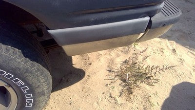 1993 Ford Explorer Driver Left Rear Moulding On Quarter Panel Oem