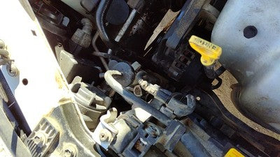 2001-06 Hyundai Elantra Coolant Reservoir Radiator Overflow Tank Bottle Oem 2.0L