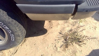 1993 Ford Explorer Driver Left Rear Moulding On Quarter Panel Oem