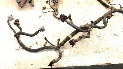 2000 Honda Passport Wiring Harness For Engine Oem