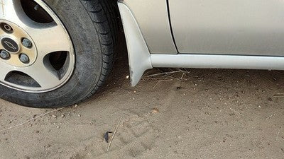 2002 Chevy Malibu Driver Left Moulding From Fender Oem Trim Strip Silver 12U