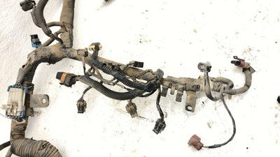 2000 Honda Passport Wiring Harness For Engine Oem