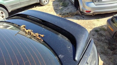 1999-2002 Infiniti G20 Rear Spoiler Back Wing Oem Kh3 Black K60303j125