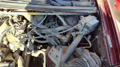 1999 2000 Chevy Venture Cruise Control Servo Assembly Module With Cable Oem 3.4l