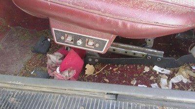 1985 Jeep Cherokee Driver Left Power Seat Track With Motors Only Oem