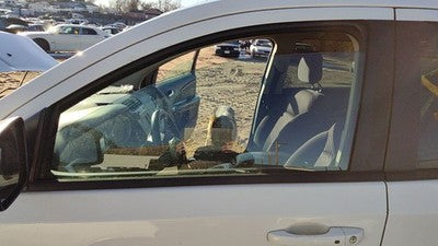 2009-2020 Dodge Journey Driver Left Front Side Window Door Glass Oem 5076887Ad
