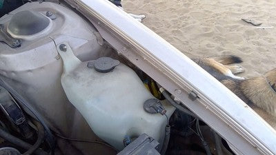 1994 Olds Eighty Eight Windshield Washer Fluid Reservoir With Pump Wiper Tank