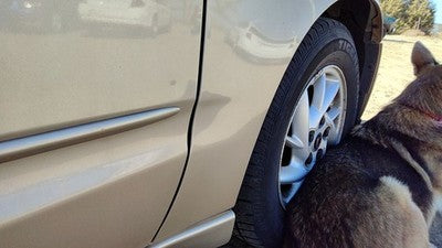 1999-2005 Pontiac Grand Am Passenger Right Front Fender Oem 33U Champagne Beige