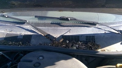 1994 Jeep Grand Cherokee Windshield Wiper Cowl Vent Trim Panel Oem Grille