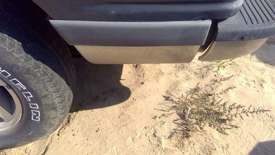 1993 Ford Explorer Driver Left Rear Moulding On Quarter Panel Oem