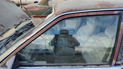 1982-1989 Pontiac 6000 Driver Left Front Side Window Door Glass Oem 20243886