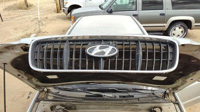 2001-2003 Hyundai Elantra Front Grille Oem Chrome