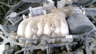 1998-1999 Ford Taurus Upper Intake Manifold Oem 3.0L Ohv F8dz9424aa