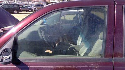 2002-2009 Trail Blazer Driver Left Front Side Window Door Glass Oem 25930347