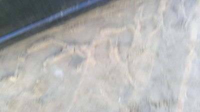 2004-2005 Acura Tsx Passenger Right Lower Rocker Moulding Side Skirt Oem