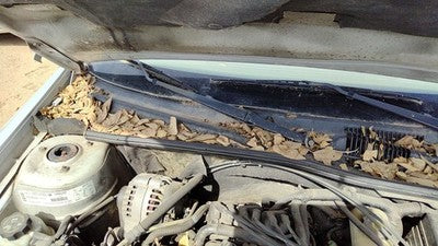 2002 Chevy Malibu Windshield Wiper Cowl Vent Trim Panel Oem Cover