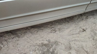 2000 Ford Windstar Driver Left Moulding From Fender Oem Trim Strip