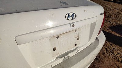 03 Hyundai Elantra License Plate Trim Surround Panel Oem Tail Trunk Finish White