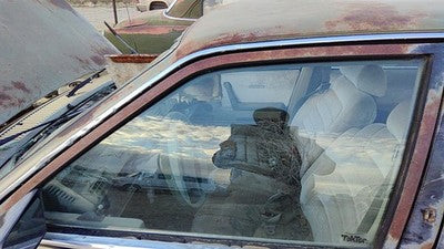 1982-1989 Pontiac 6000 Driver Left Front Side Window Door Glass Oem 20243886