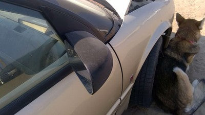 1991-1995 Saturn Sw2 Passenger Right Side Mirror Door Mounted Oem 21096065