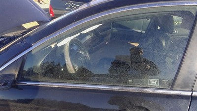 2004-2005 Acura Tsx Driver Left Front Side Window Door Glass Oem 73350Seca00