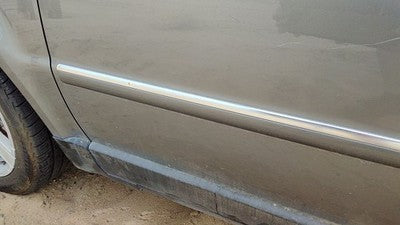 2001-2005 Vw Passat Driver Left Front Moulding From Door Oem Trim Strip Silver