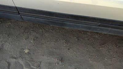 2016-2017 Ford Explorer Passenger Right Front Moulding From Door Oem Trim Strip