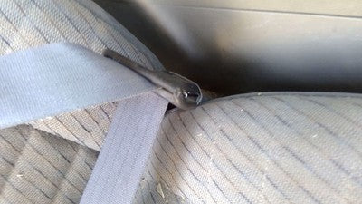 1993 Ford Explorer Passenger Right Front Seat Belt Buckle Receiver Oem Gray