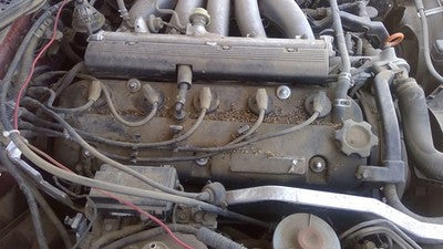 1993 Acura Vigor Valve Cover Oem 2.5L