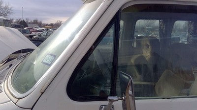 75-84 Ford Van E250 Driver Left Front Vent Window Small Door Glass With Frame