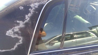 91-96 Buick Park Ave Passenger Right Rear Vent Window Back Door Glass With Frame