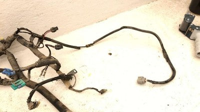 2000 Honda Passport Wiring Harness For Engine Oem