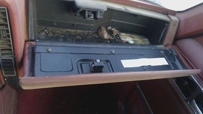 1985 Jeep Cherokee Glove Box Assembly Complete Door With Latch Oem Red