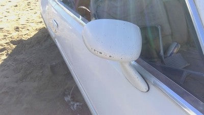 1978 Buick Regal Passenger Right Side Mirror Door Mounted Oem White