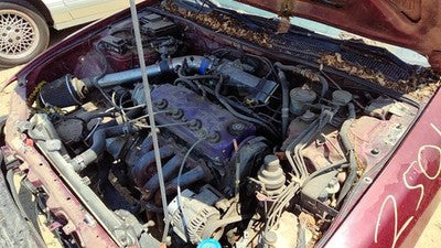 1994-97 Honda Accord Driver Left Rear Power Window Regulator With Motor Oem Back
