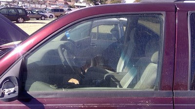 2002-2009 Trail Blazer Driver Left Front Side Window Door Glass Oem 25930347