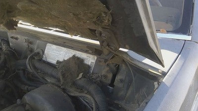 1984-1998 Jeep Cherokee Gray Driver Left Hood Hinge Assembly Oem 55235725Ad