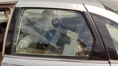 2000-2005 Saturn L100 Driver Left Rear Side Window Door Glass Oem Back 24416379