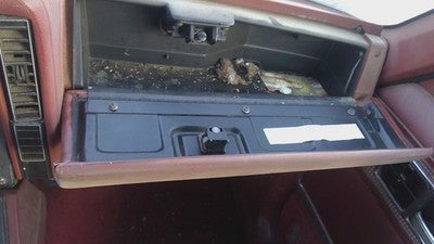 1985 Jeep Cherokee Glove Box Assembly Complete Door With Latch Oem Red