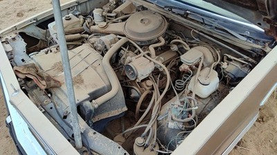 1981 Chevy Malibu Dash Wiring Harness Oem 3.8L 4 Door